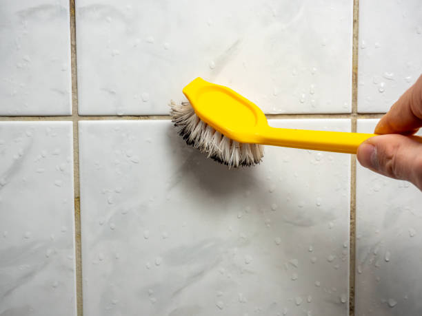 Trusted Rosenberg, TX Mold Remediation Experts