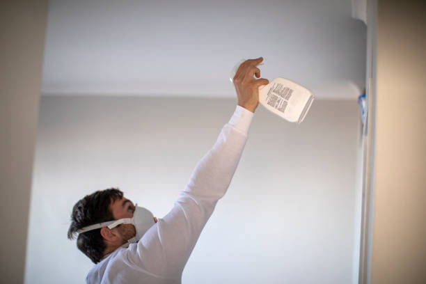 Best Mold Remediation for Schools in Rosenberg, TX