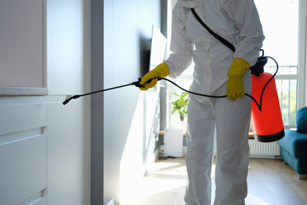 Best Emergency Mold Remediation in Rosenberg, TX
