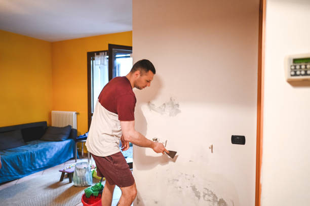 Best DIY Mold Remediation Support Services in Rosenberg, TX